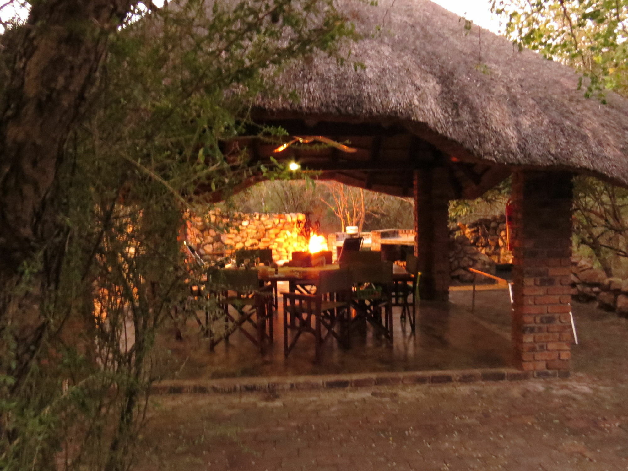 De Bruine Huis Marloth Park Exteriör bild